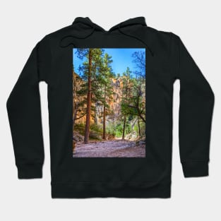 Lick Wash Trail Hike Hoodie